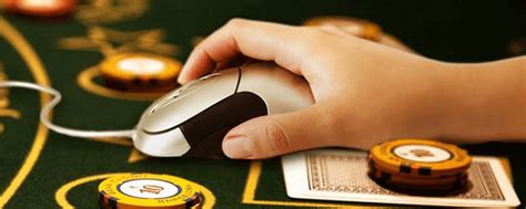 bester online casino anbieter